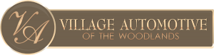 villageautologo